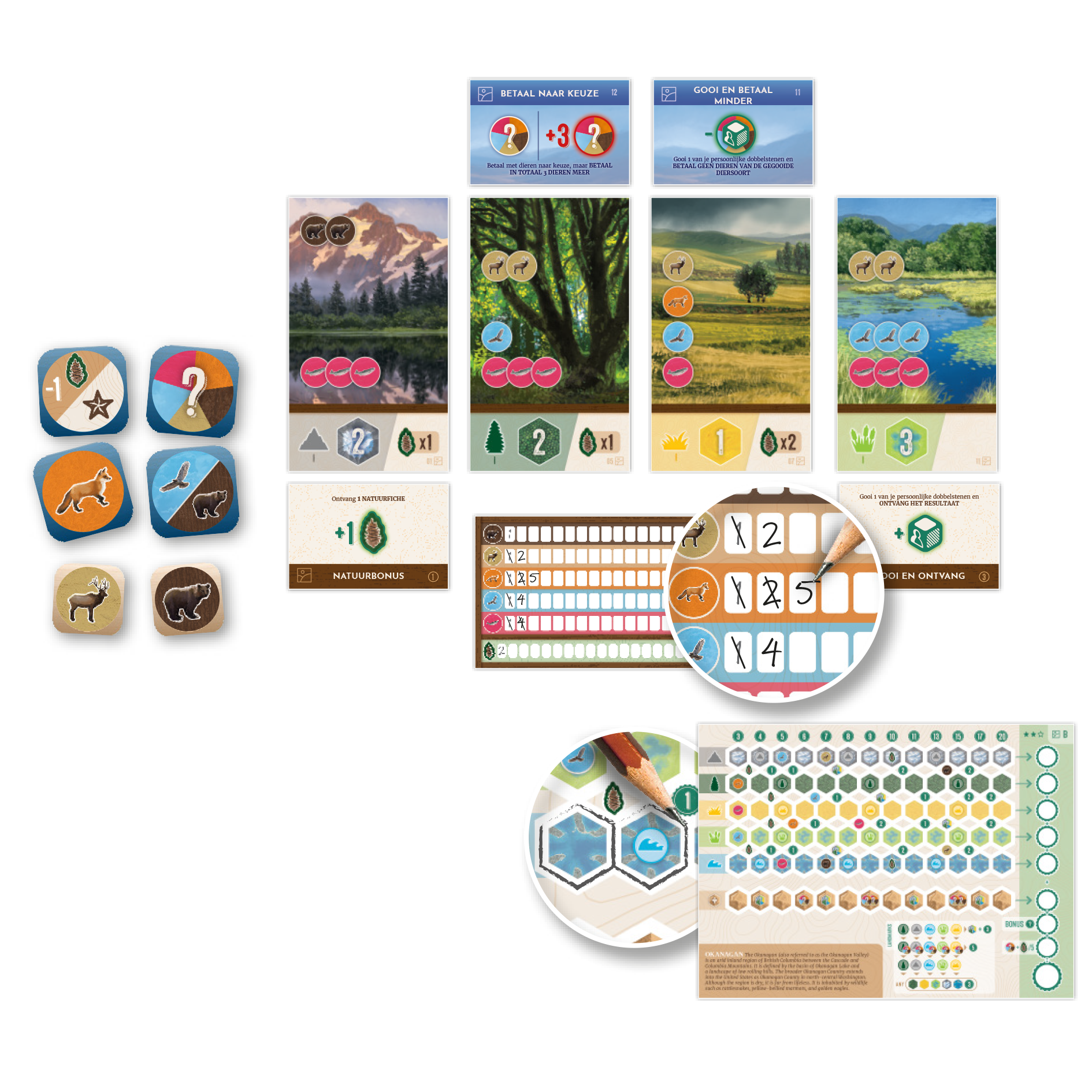 Bordspel: Cascadia Rolling Hills NL - Afbeelding 2